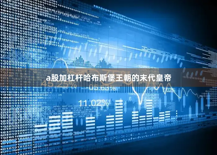 a股加杠杆哈布斯堡王朝的末代皇帝