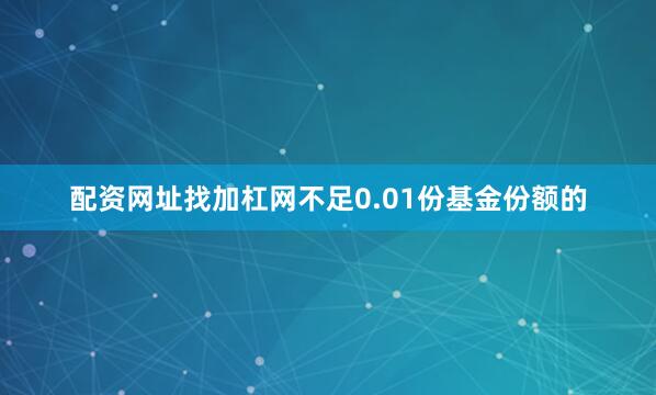 配资网址找加杠网不足0.01份基金份额的